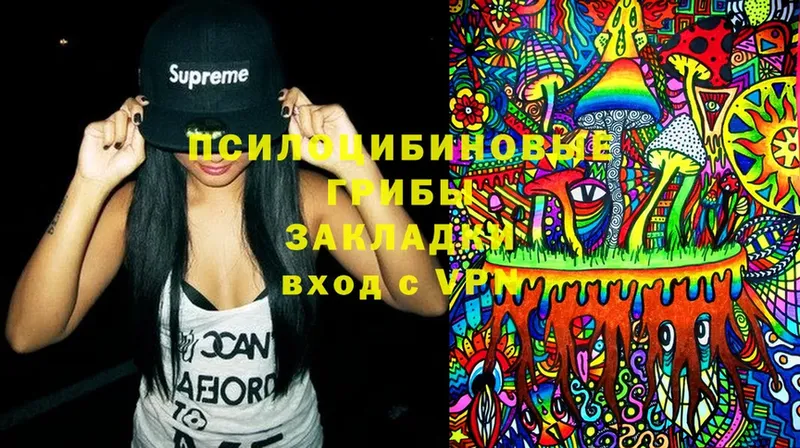 Галлюциногенные грибы MAGIC MUSHROOMS  Катайск 